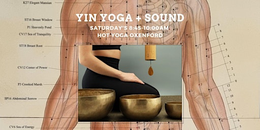 Yin Yoga Oxenford