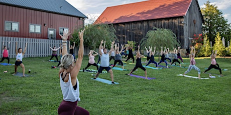 Vino & Vinyasa with Lindsay Cook at Great Frogs Winery tickets