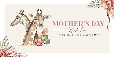Mother's Day High Tea at Melbourne Zoo (Afternoon) primary image