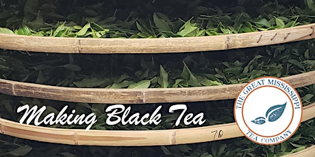 Tea Processing 101 - Black Tea (2022)