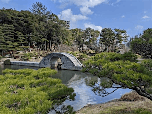 Spring Blossoms & Traditional Japanese landscapes at Shukeien Gardens