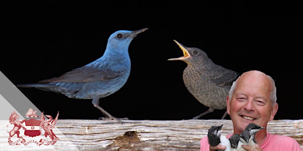 Birds and Us: Our Relationships with Birds