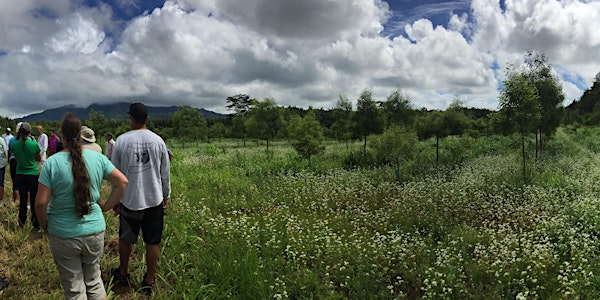 Kauai Forestry Workshop for Landowners