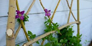Build Your Own Willow Trellis and Vine seminar.