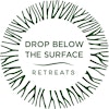Logótipo de Drop Below the Surface Retreats
