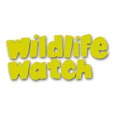 Wildlife Watch - We're Going on a Teddy Bear Adventure (2yrs+) tickets