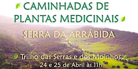 CAMINHADAS DE PLANTAS MEDICINAIS NA SERRA DA ARRÁBIDA - 24 DE ABRIL