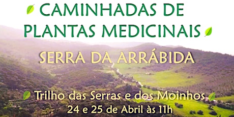 CAMINHADAS DE PLANTAS MEDICINAIS NA SERRA DA ARRÁBIDA - 25 DE ABRIL