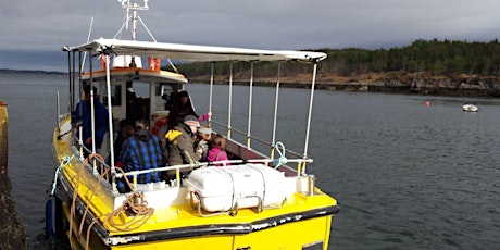 Inverewe Boat Trips - 1 Hour Wildlife Cruise primary image