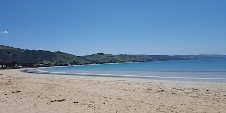 Apollo Bay Yoga and Ayurveda Retreat primary image