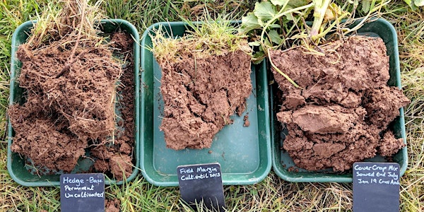 Soil Health and Regenerative Agriculture for Farmers - In-Person Course