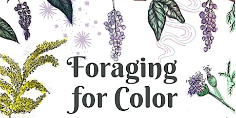 Image principale de foraging for color: a natural dye workshop