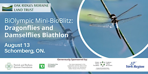 BiOlympic Mini-BioBlitz: Dragonflies and Damselflies Biathlon