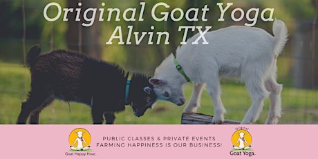 Baby Goat Yoga 2-Hour Mini-Retreat tickets