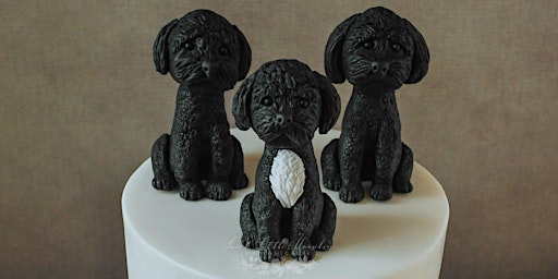 Fondant Dog Cake Topper Class at Fran's Cake and Candy Supplies
