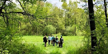 Hauptbild für The JOY of FORAGING:  Plant & Mushroom Workshop