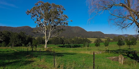 Caring for our waterways and managing bushland on farms - Glenquarry NSW primary image
