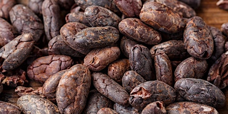 It's time for a Nordic Initiative on Sustainable Cocoa  primärbild