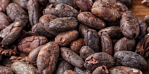 It's time for a Nordic Initiative on Sustainable Cocoa