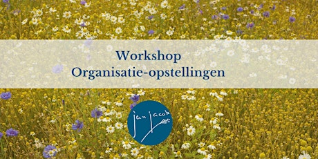 Workshop Organisatie-opstellingen tickets