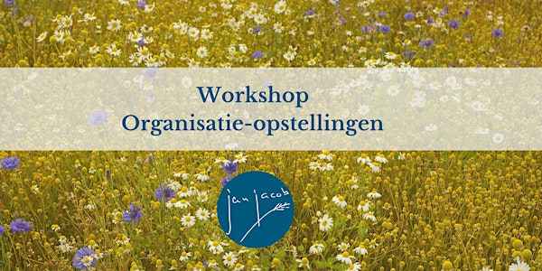 Workshop Organisatie-opstellingen