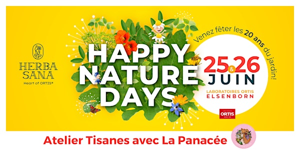 Atelier tisanes @ Happy Nature Days