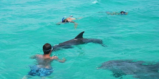 Panama City Snorkeling Tours - (850) 756-7510