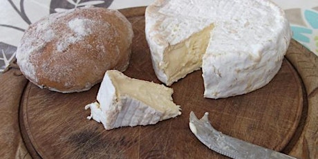 Introduction to Making Cheese