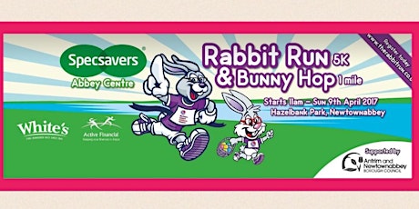 Rabbit Run & Bunny Hop© primary image
