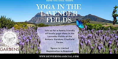 Yoga in the Lavender Fields at the Botanic Gardens Chatfield Farms