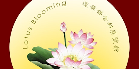 lotusblooming primary image