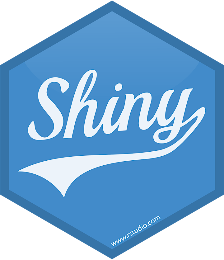 Creating web applications in R using Shiny image
