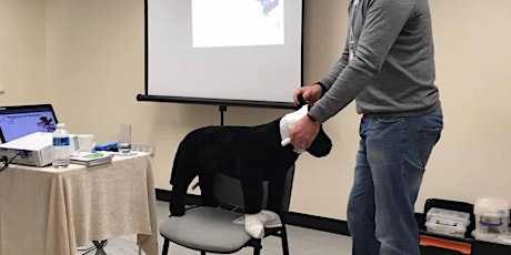 Canine First Aid Course. primary image