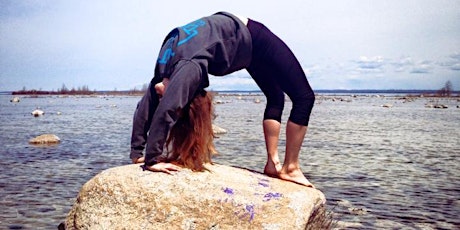 3 Day Holistic Yoga & Meditation Retreat at SW Lake Michigan, USA