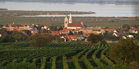 Immagine principale di I VINI DEL BURGENLAND Degustazione Guidata 