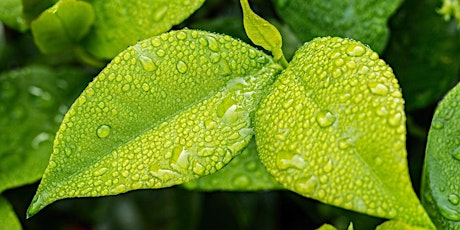 Hauptbild für Wissenschaft am Puls der Zeit