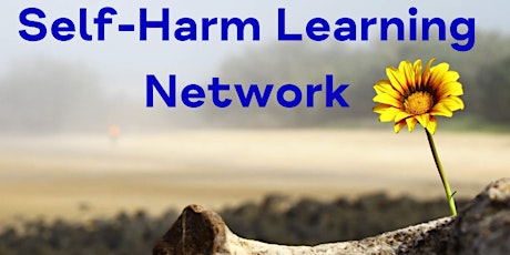 Self Harm Learning Network Secondary School Staff biglietti