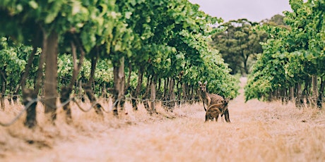 Tindal Wine invites you to An Australian Wine Tasting   - TRADE ONLY