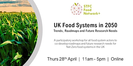 UK Food Systems in 2050: Trends, Roadmaps and Future Research Needs