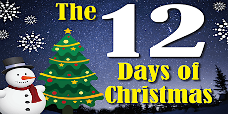 Castlebar Pantomime Presents: The 12 Days of Christmas primary image