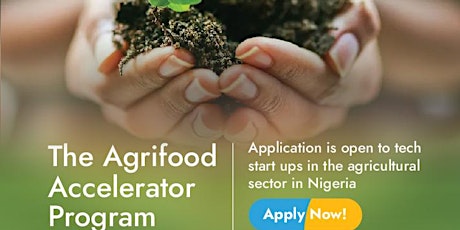 Nigeria Agrifood Accelerator- Call for applications