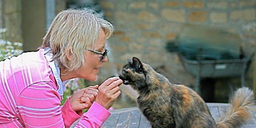 The Nature of Your Cat - An Online Talk by Celia Haddon