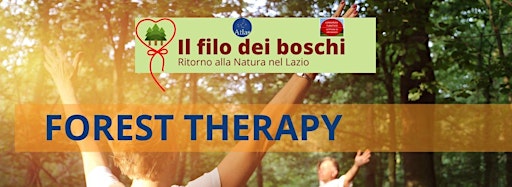 Collection image for Forest Therapy  - La Medicina Forestale