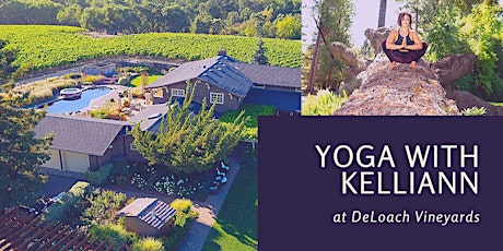 Yoga in the Vineyards: DeLoach Estate primary image