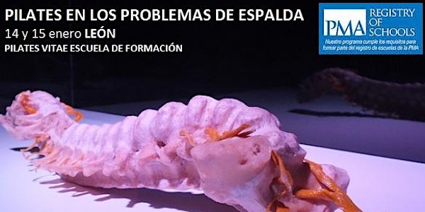 PILATES EN LOS PROBLEMAS DE ESPALDA