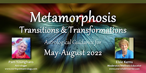 Metamorphosis: Transitions and Transformations