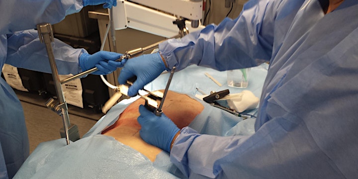 11th Annual MINS Conference, Hands-On Cadaver Course image