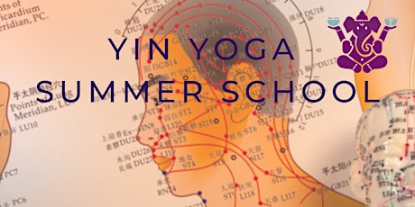 Yin Yoga opleiding ( Yin Yoga & Energie 50h YA) - Yin Yoga Summer School tickets