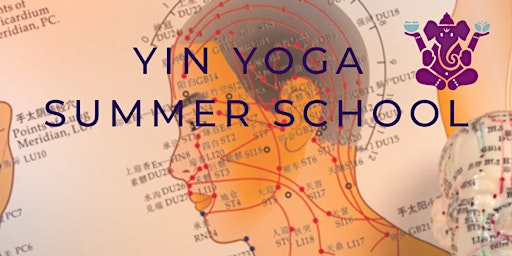 Yin Yoga opleiding ( Yin Yoga & Energie 50h YA) - Yin Yoga Summer School