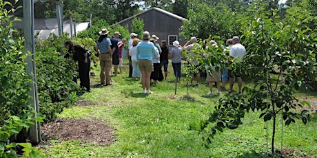 Fruit Tree & Edible Vines Planting Party +Plant Sale